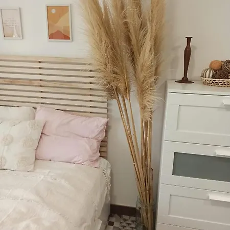 Miramar Estudio -7